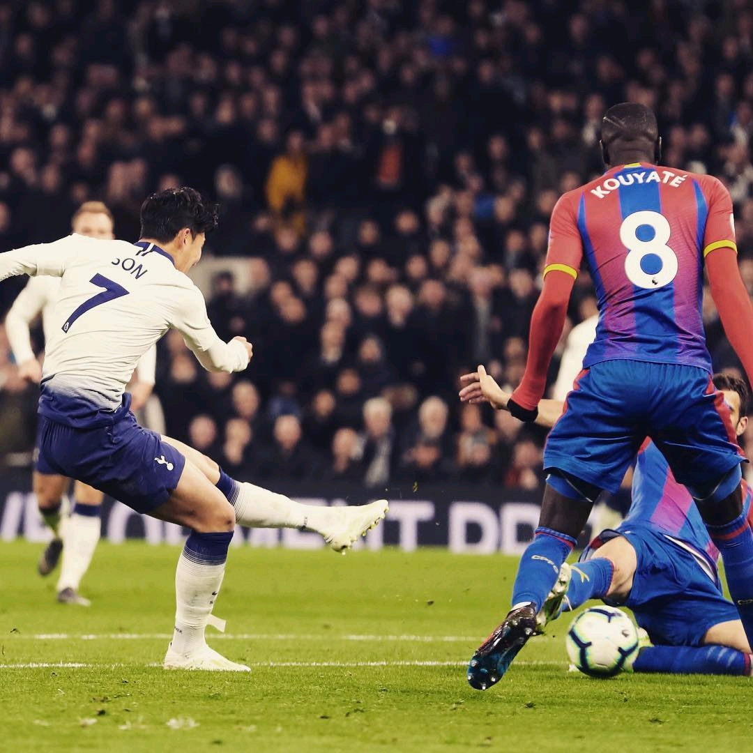 注册球员数 注册球员数